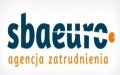 ELEKTRYK SAMOCHODOWY