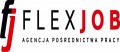 Murarz klinkierki-Holandia