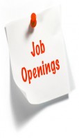 JOB in Holland-PRODUCTION/LOGISTIC/FOOD & OTHERS