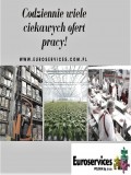 Praca - produkcja-magazyny-szklarnie