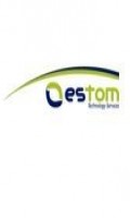 Monter okien