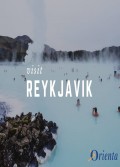 Operator koparki - Islandia