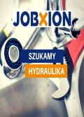 Hydraulik/ Haga 