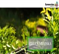 ZIELEŃ MIEJSKA-PRACA OD ZARAZ!!!