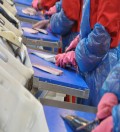 Pracownik produkcji bez znajomości języka