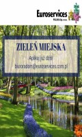 ZIELEŃ MIEJSKA-PRACA OD ZARAZ!!!