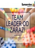 Team leader / Voorman - od zaraz !