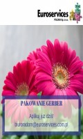 Pakowanie gerber!Bonus!!!