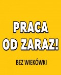 Praca dla par BEZ WIEKÓWKI OD ZARAZ- De Lier