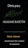 Bukiety - Aalsmeer - bez wiekówki