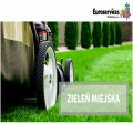 Zieleń miejska - od zaraz !