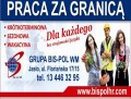 Zbiór, sortowanie kalafiora - BELGIA