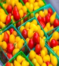 Praca w Holandii pakowanie warzyw i owoców