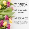Pracownik produkcji! Holandia bez stawki wiekowej!