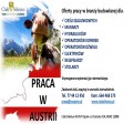 CIEŚLA SZALUNKOWY, MURARZ- Austria, umowa austriacka, 13i 14 wypłata