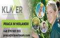 Komisjoner na dziale mroźni bez znajomości języka- praca w Niemczech