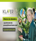 Kamieniarz- obróbka kamienia- praca w Holandii