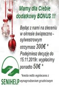 lekkie zlecenie na okres świąteczno- sylwestrowy