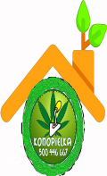 Budowa remont