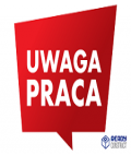POSADZKARZ, ŻYWICZNE, EPOXYD - BELGIA