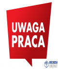 POSADZKARZ, POSADZKI ŻYWICZNE, EPOKSYDOWE - BELGIA