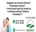 szukasz zlecenia? to i inne dostępne w naszej firmie