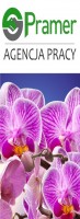 Pracownik przy storczykach / orchideach (Luttelgeest)