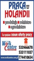 Kierowca ciężarówki