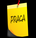 Pracownik magazynowy (sortowanie paczek)