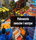 Pakowanie owoców/warzyw->Praca w Holandii
