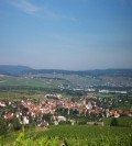 Winiarnia