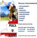 MURARZ Z J. NIEM. - WIEDEŃ,LINZ,GRAZ/ 2200EUR NA RĘKĘ LINZ
