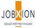 Cieśla szalunkowy z językiem angielskim | Holandia