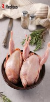 Asystent produkcji - przemysł spożywczy w Niemczech 