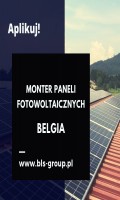 Monter Paneli Fotowoltaicznych