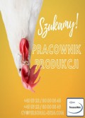 Pracownik produkcji 