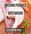 Pakowanie drobiu super warunki tygodniówki nie ma kwarantanny