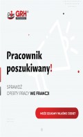 Reprezentant Handlowy z j.francuskim