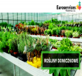 Szklarnia - rośliny doniczkowe i ogrodowe