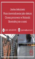 Dekarz praca w Holandii