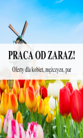 Pakowanie udek- świetne warunki/ tygodniówki 330-350€ netto/ szybki start