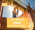 Praca murarz - Niemcy - bez znajomości języka