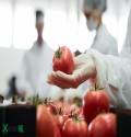 Poszukujemy osoby do pracy przy pomidorach 🍅na hali 
