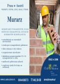 MURARZ Z J. NIEM. - WIEDEŃ,LINZ,GRAZ/ 2200EUR NA RĘKĘ LINZ