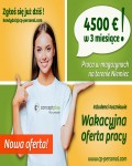 !Praca dla studentów/uczniów - Pracownik magazynu - Niemcy