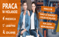 Asystent kierownictwa działu produkcyjnego - Holandia