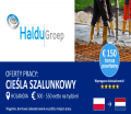 Cieśla szalunkowy-HOLANDIA