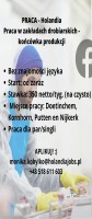 PRACA W ZAK£ADZIE PRODUKCYJNYM 