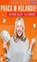 Zbieranie zamówień - bez języka i doświadczenia- Holandia!