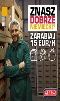 Tłumacz/Koordynator - 15 euro na godzinę – Niemcy